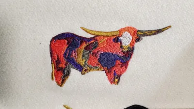 Multicolor Bull